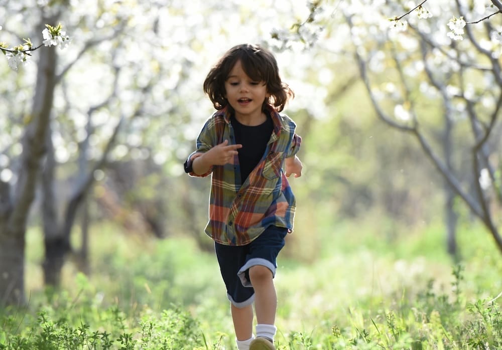 Ein kleiner Junge rennt zwischen Kirschbäumen auf einer Wiese Ein kleiner Junge rennt zwischen Kirschbäumen auf einer Wiese